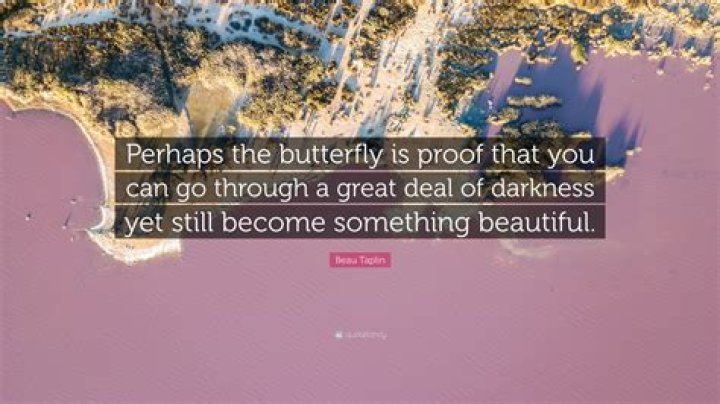 Beau Taplin - Bio, Age, Wiki, Facts and Family