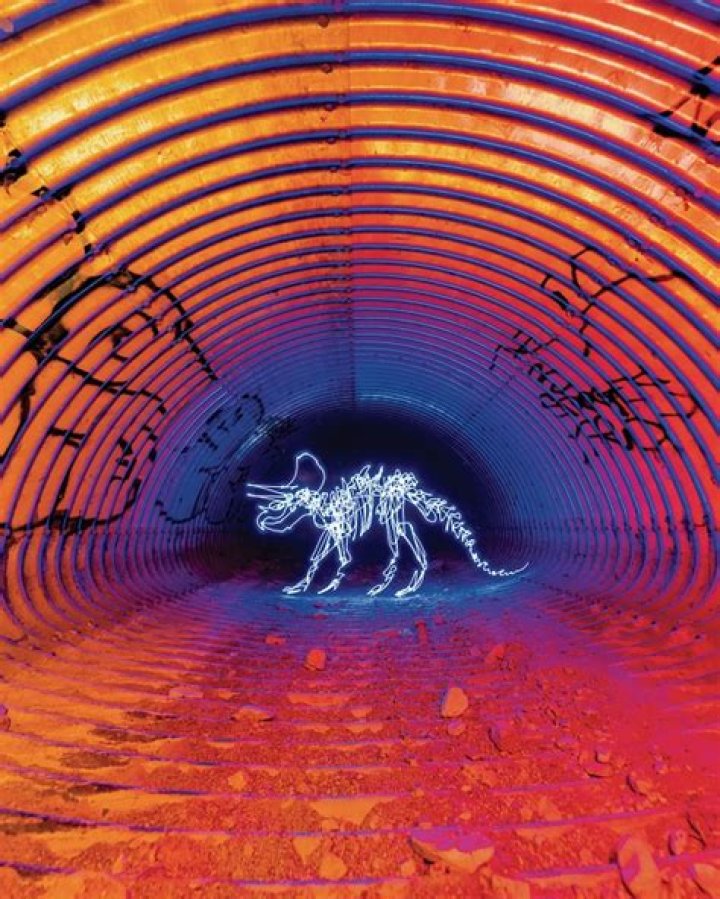 Darren Pearson - Bio, Age, Wiki, Facts and Family