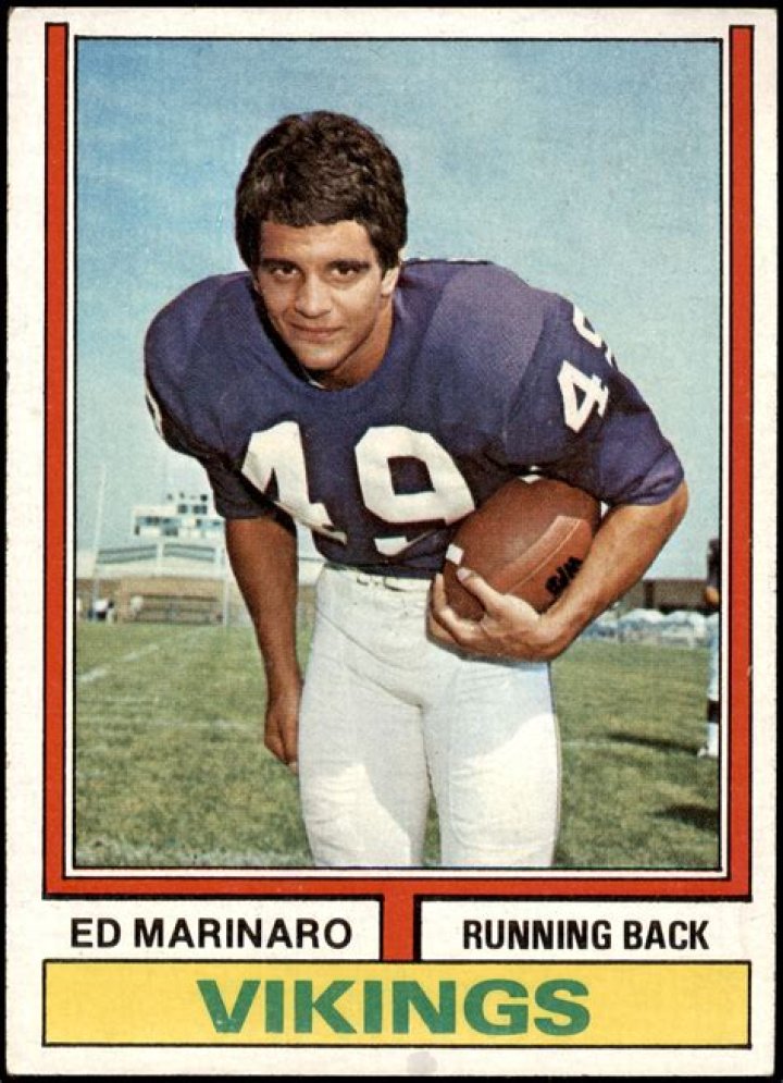 Ed Marinaro - Bio, Age, net worth, height, Wiki, Facts and Family