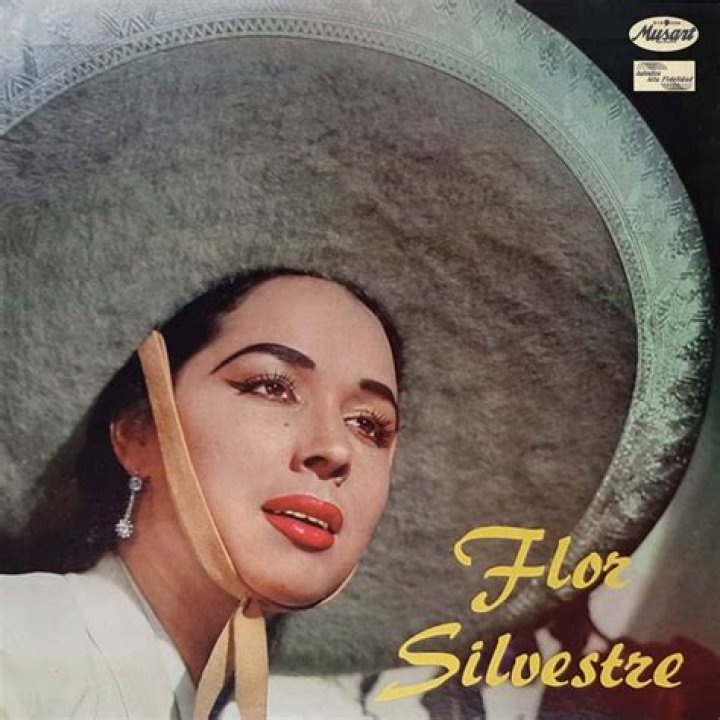 Flor Silvestre - Bio, Age, Wiki, Facts and Family