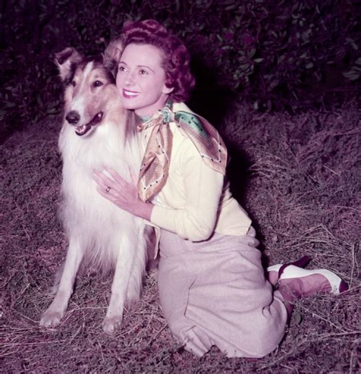 Jan Clayton - Bio, Age, Wiki, Facts and Family