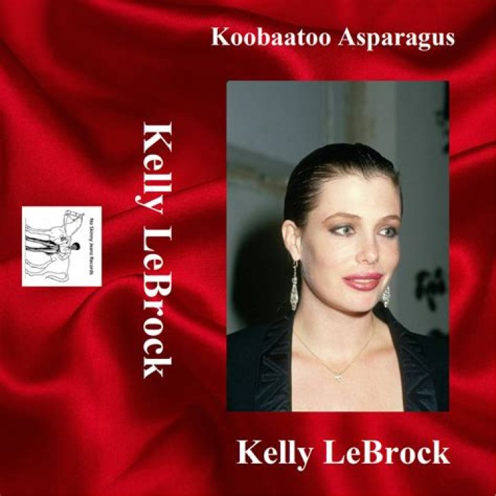 Kelly Lebrock - Bio, Age, Wiki, Facts and Family