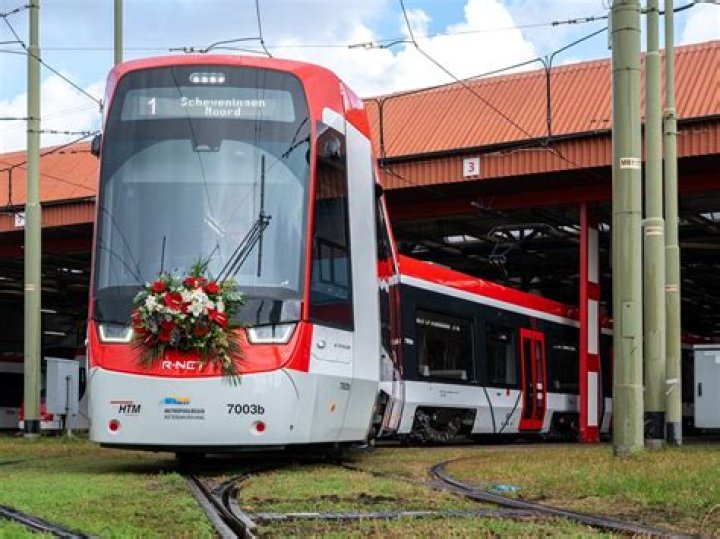 MsLolo - Bio, Age, Wiki, Facts and Family