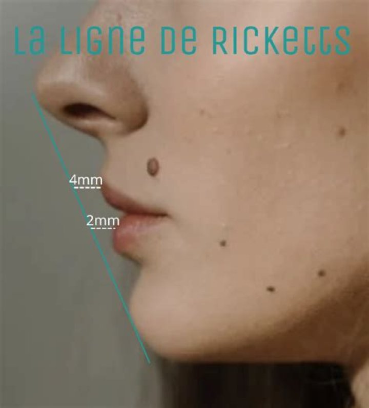 Naja Rickette - Bio, Age, Wiki, Facts and Family