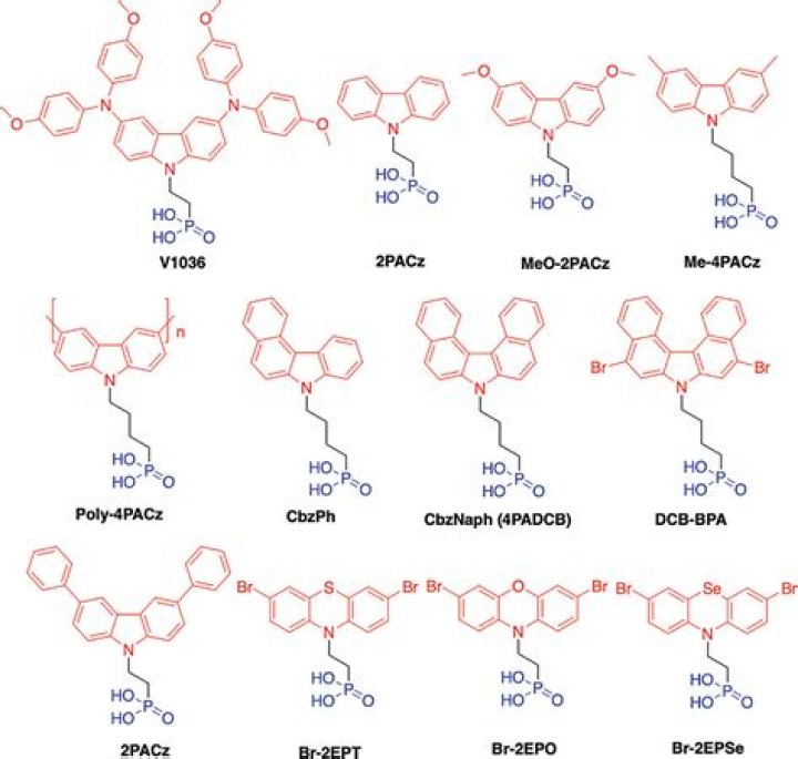 Sam Lutfi - Bio, Age, siblings, Wiki, Facts and Family