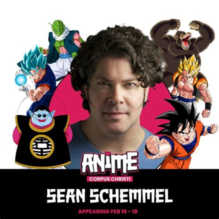 Sean Schemmel - Bio, Age, net worth, Wiki, Facts and Family