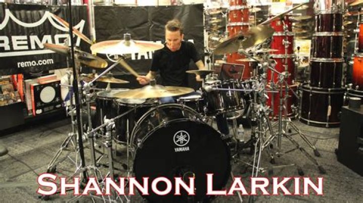 Shannon Larkin - Bio, Age, net worth, Wiki, Facts and Family