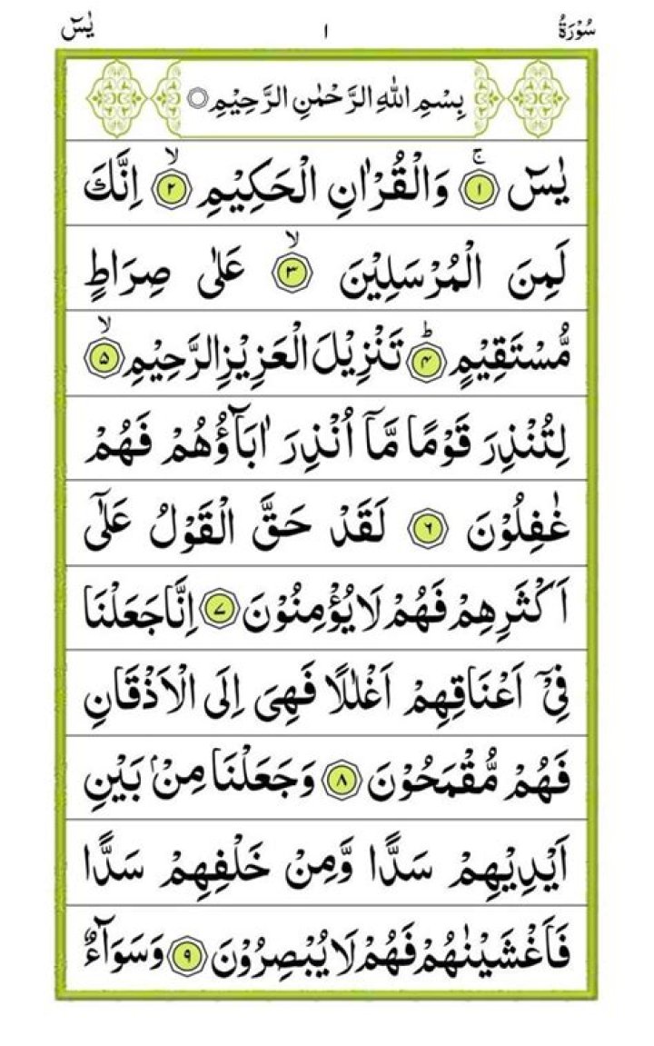 Yassin Fawaz (webvideostar) - Wikipedia, Age, Net Worth, Biography , Spotify, TikTok, Facebook, Facts and Family