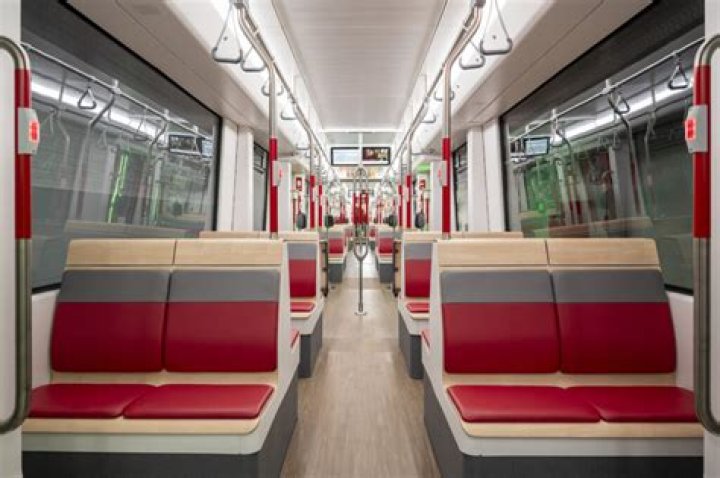 Young Wild And Polished - Bio, Age, Wiki, Facts and Family