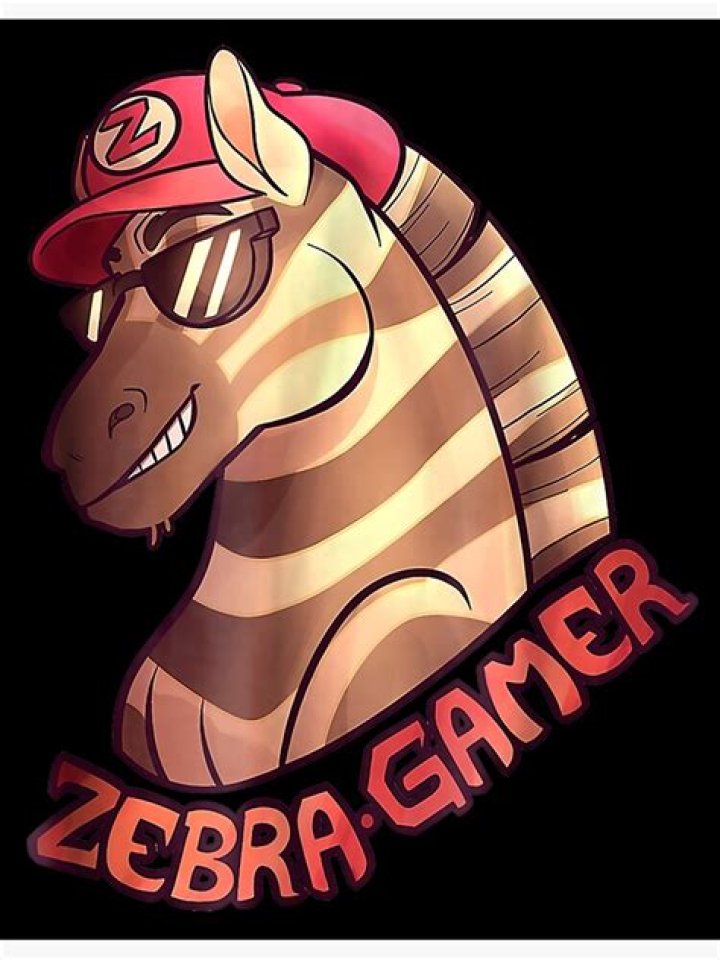 Zebra Gamer - Bio, Age, Wiki, Facts and Family
